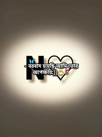 "N version 🐣🌷 #shahinur_saima_noha1 #vairal #trendingvideo #treandin...