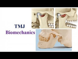 Temporomandibular Joint (TMJ) Biomechanics