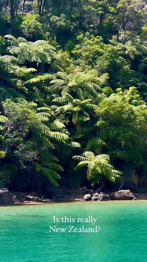 Sparkling waters, lush islands, scenery straight out of a dream... "Is this really New Zealand?" You bet! Welcome to the magical Marlborough Sounds. Kayak through hidden coves, explore secluded beaches, and discover paradise around every corner. 📸: @the_cornishpixietravels Discover 11 of the Best Things to Do in the Marlborough Sounds: https://www.gorentals.co.nz/explore/blog/11-of-the-best-things-to-do-in-the-marlborough-sounds/ | GO Explore New Zealand