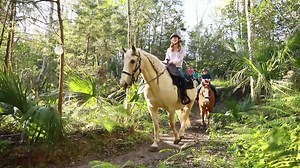 50 reactions | Imagine taking a sunset ride along one of our stunning trails. When you’re ready to explore the Horse Capital of the World™, it’s even better than you imagined in Ocala/Marion County. | Ocala/Marion County, Florida | Facebook
