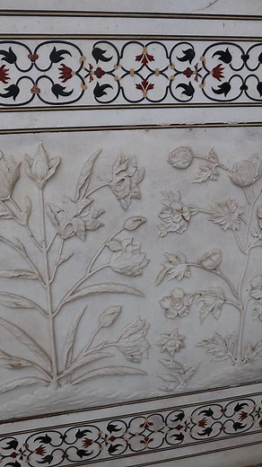 2.6K views · 76 reactions | A must watch close-up views of the...