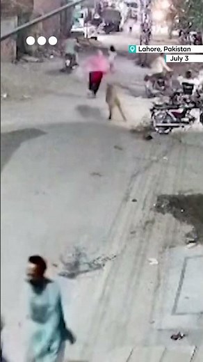 Pet lion attacks woman and children in Pakistan's Lahore