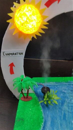Working Model of Water Cycle #scienceexhibition #sciencproject #science #watercycle #waterharvesting