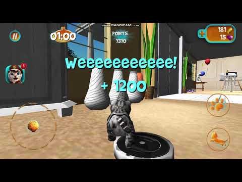 Cat Simulator 2015 - Dom 2
