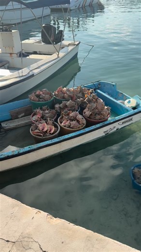 Michael Clark on Instagram: "Couch and Bonefish for Dayzzzzzz…….."