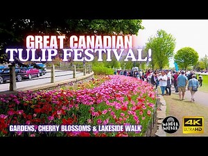 Ottawa Tulip Festival - A Feast for the Eyes | 4K Spring Walking Tour