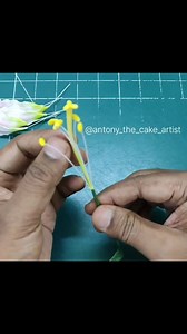 How to make stamen for flower using wire and fondant . . . #flower #stamen #fondantflower #fondant #fondantdoll #fondantfigurine #cake #cakeart #cakeartist #reels #cakereels #viralreels #trending #antonythecakeartist | Antony Bidesh