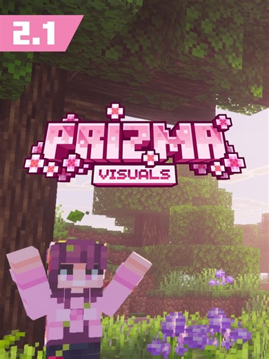 Discover the New Features in Prizma Visuals 2.1 Update