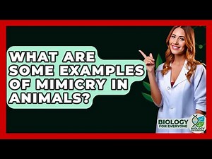 What Are Some Examples Of Mimicry In Animals? - Biology For Everyone
