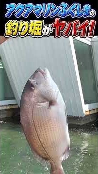 アクアマリンふくしまの釣り堀がヤバすぎる！