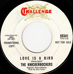 The Knickerbockers - Love Is A Bird