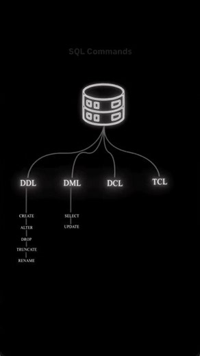 Sql command types 🧑‍💻