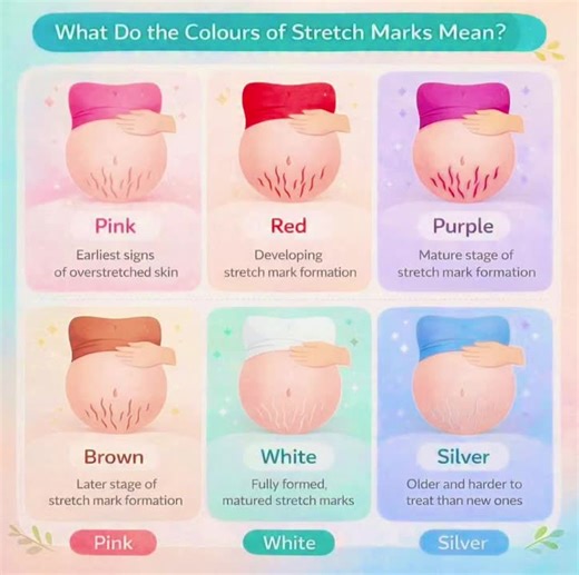 Essential Hacks for Nursing Students