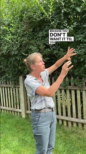 Bittersweet: Detect and Remove!