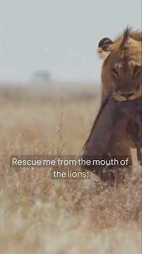 Psalm 22: 1-21 My God, Why Have You Forsaken Me? #bible #biblestudy #psalms #prayer