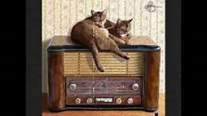 BLESS 'EM ALL Lyrics - GEORGE FORMBY | eLyrics.net