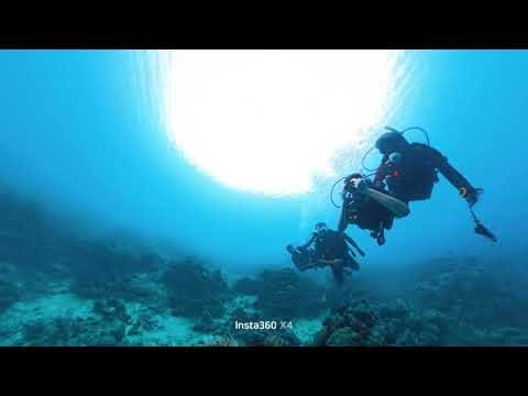 Scuba Diving at Havelock, Boat Diving, PADI, Light House Point