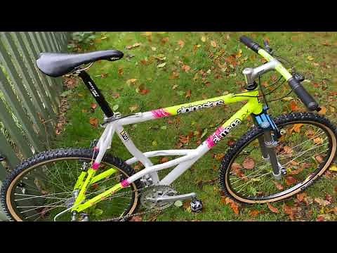 Lockdown Build #003 - 1991 Alpinestars Al-Mega DX