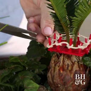 How to Build a Treehouse for a Fairy Garden: http://ow.ly/wrpC30jwkIM 🌿✨ | Made by Me