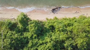 Tropical beach video loop showing seamless never ending footage with aerial bird eye view of green foaming ocean waves crushing against the coast line of Florida and overhead view of a seldom tourist Stock Video