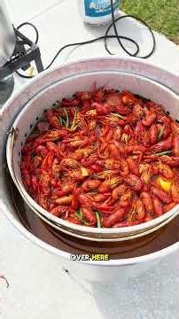 Crawfish season in New Orleans