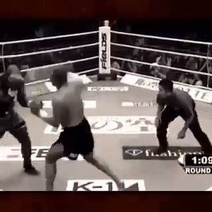 33K views · 272 reactions | Different kind of animal | The Bodybuilding Nation | Facebook