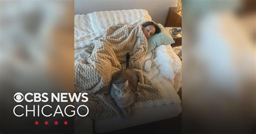 Cat photos from Suzanne's daughter, Mary Kay's daughter with Miley Cyrus | What Caught My Eye