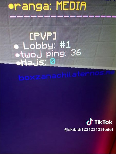 Join the BoxZanarchii BoxPvP Server Today