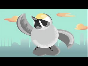 What You Can Do for Birds - Prevent Window Collisions