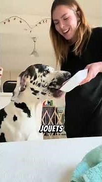🐶 All About Pets | Tips, Training, Care & Adorable Moments
