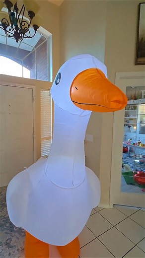 Our version of a Porch Goose! #blowup #inflatable #spring #decoration