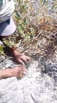 Steps for Minerals Exploration | MiningInsights