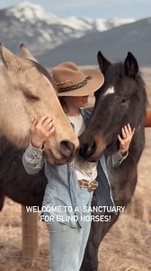 6.3K views · 298 reactions | Blind horses deserve stability, love,...