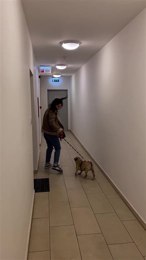 7.8K views · 13 reactions | Can You Pull Up This Prank? | The Humor Train | Facebook