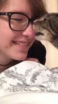 Cat's Boat Adventure: Vacuum, Pizza, and Door Drama! #shorts