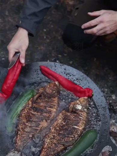 Essential Cooking Tips for Beginners and Home Chefs