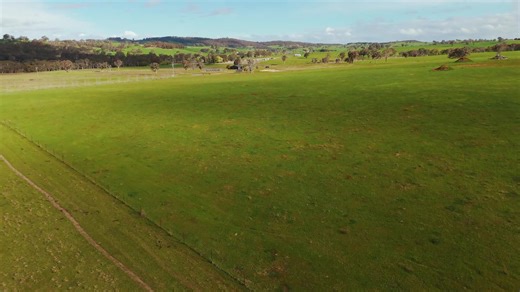 🌾 “Nicholsons” – 302.4 Acres | 122.4 Hectares 🌾 ✨ A Ready-to-Build, Highly-Improved Mixed Farming Opportunity in the Central Tablelands, NSW ✨ Dreaming of the perfect country escape with productivity and lifestyle? 🌅 Welcome to “Nicholsons” – a stunning, fully developed property in the renowned Garland district, offering rich soils, reliable rainfall, and DA approval for your dream home! 🏡🐄 💥 Property Highlights: 🌿 122.4 ha (302.4 ac) of grazing & arable land 🌧️ Reliable 800mm rainfall d