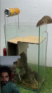 Tha world most amazing homemade mouse trip idea 🐁#rattap #mousetrap #rat