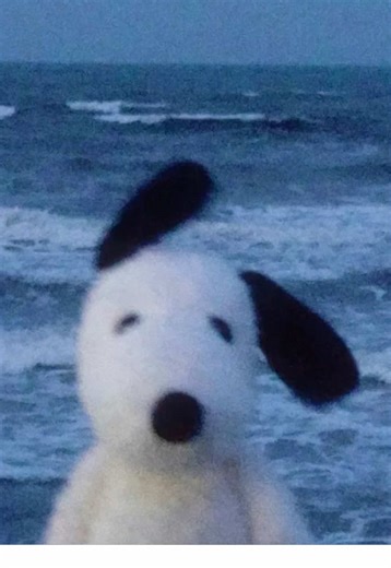 benadryl is a very addictive over the counter medicine. it’s used for allergies and can make you very tired. taking to much can lead to serious problems later on. benadryl can make you hallucinate, make you feel high, or if you take too much even kill you. it’s not something to play with. it leads to memory loss, brain fog, and when you’re older possibly dementia. once again it’s very addictive and not something you should be making a game out of. one more pill and you could be dead. i’m making 