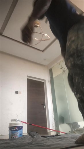 lord paper (@lord.paper11)’s videos with original sound - Money Face🤑💸💰