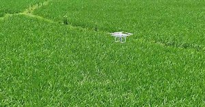 Smart farming machinery boosts efficiency in agricultural production across China