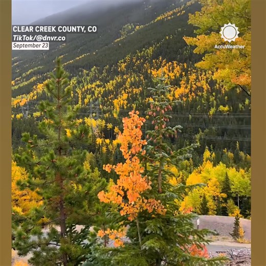 17K views · 779 reactions | Stunning fall colors shine bright on Guanella Pass in Colorado 朗 | AccuWeather | Facebook