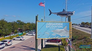 Aquarium Encounters 7 minute mini documentary