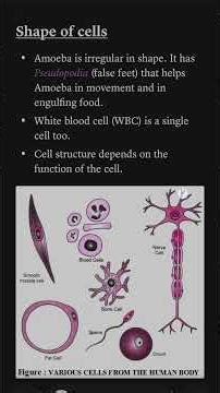 Class 8 Science Chapter 6 | Cell structure and function| Digital notes| #youtubeshorts #viralshorts