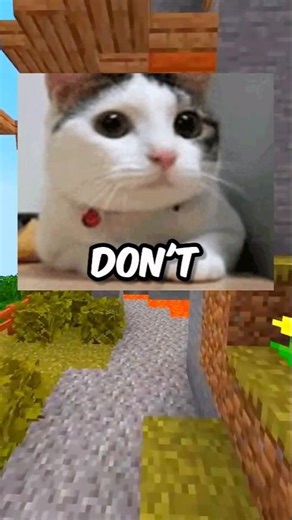 If I Was Your Wi-Fi 📶⚡ Audio: ‪@ThatAdiGuy_YT‬ #shorts