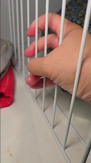 How I Fixed My Messy Closet With One Simple Trick!