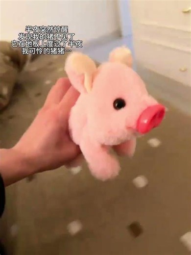 My little pig was frozen outside all night... #doll #plush #cute to the max #try something new