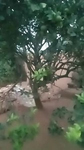 Power of Cayenne Pepper wstp 09160074839 | Ndomadu Kenneth