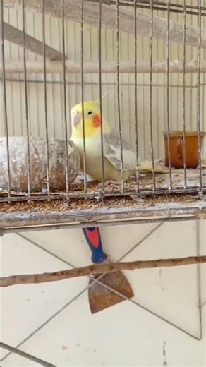 CODe com super poder de fazer o tempo passar mais rápido