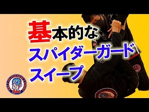 Spider Guard, Basic Sweep, Triangle Choke